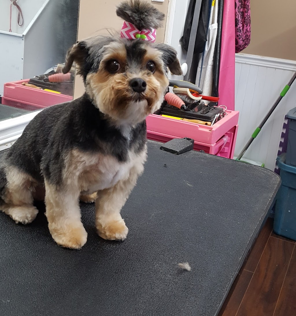 Cuddles And Clips Dog Grooming and Boarding With Doggy Daycare | 23 Hutchinson (formally)#65, Lowbanks, ON N0A 1K0, Canada | Phone: (289) 209-8323
