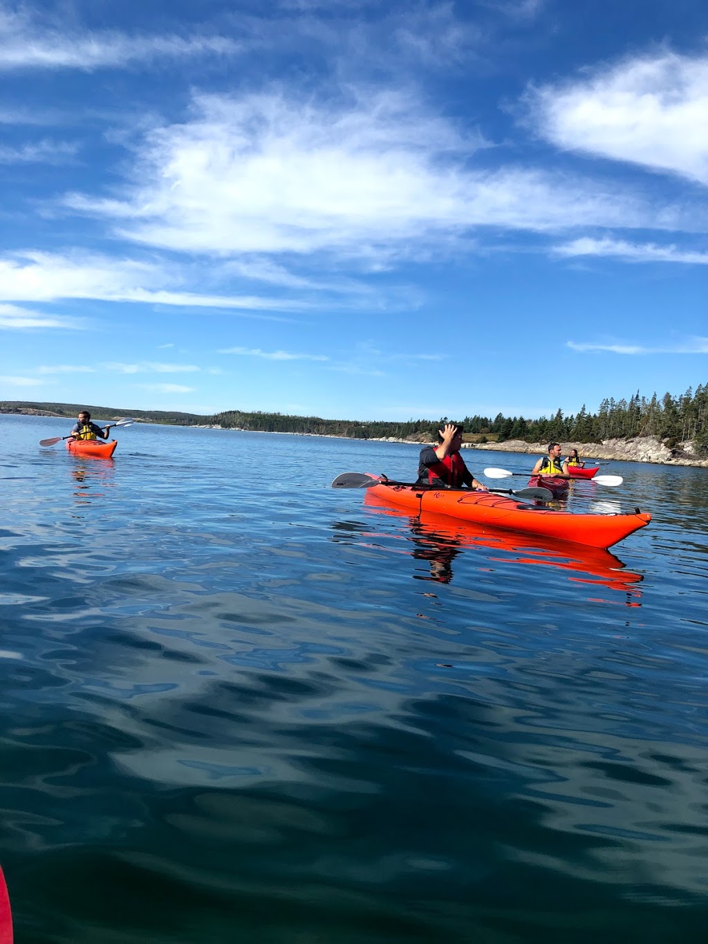 Norse Cove Seaside Camping | 51 Dewolfes Rd, Tangier, NS B0J 3H0, Canada | Phone: (902) 430-4559