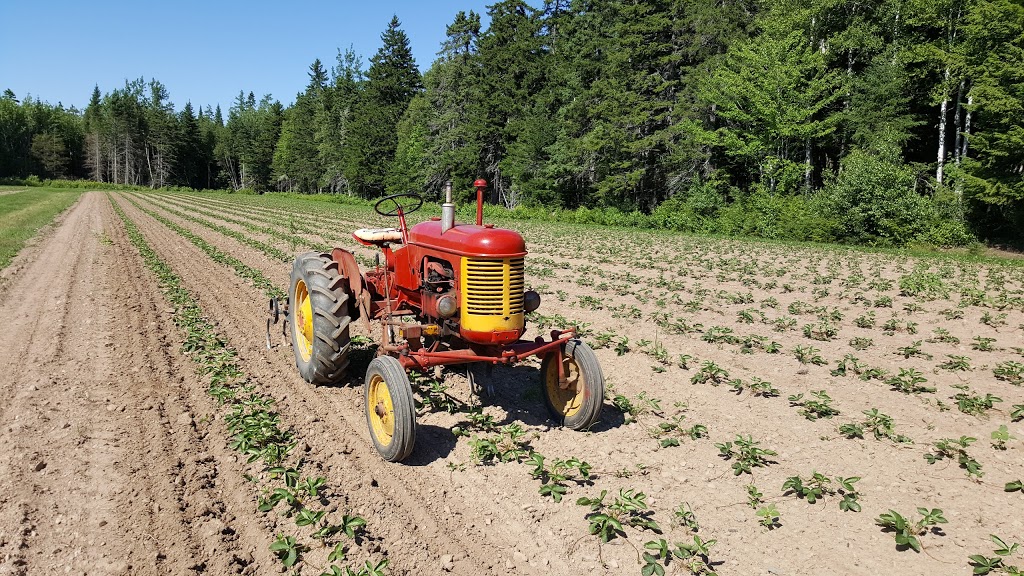 La Fleur Du Pommier Ltee | 79 Chemin Rue Goguen, Cocagne, NB E4R 5Y7, Canada | Phone: (506) 576-7946