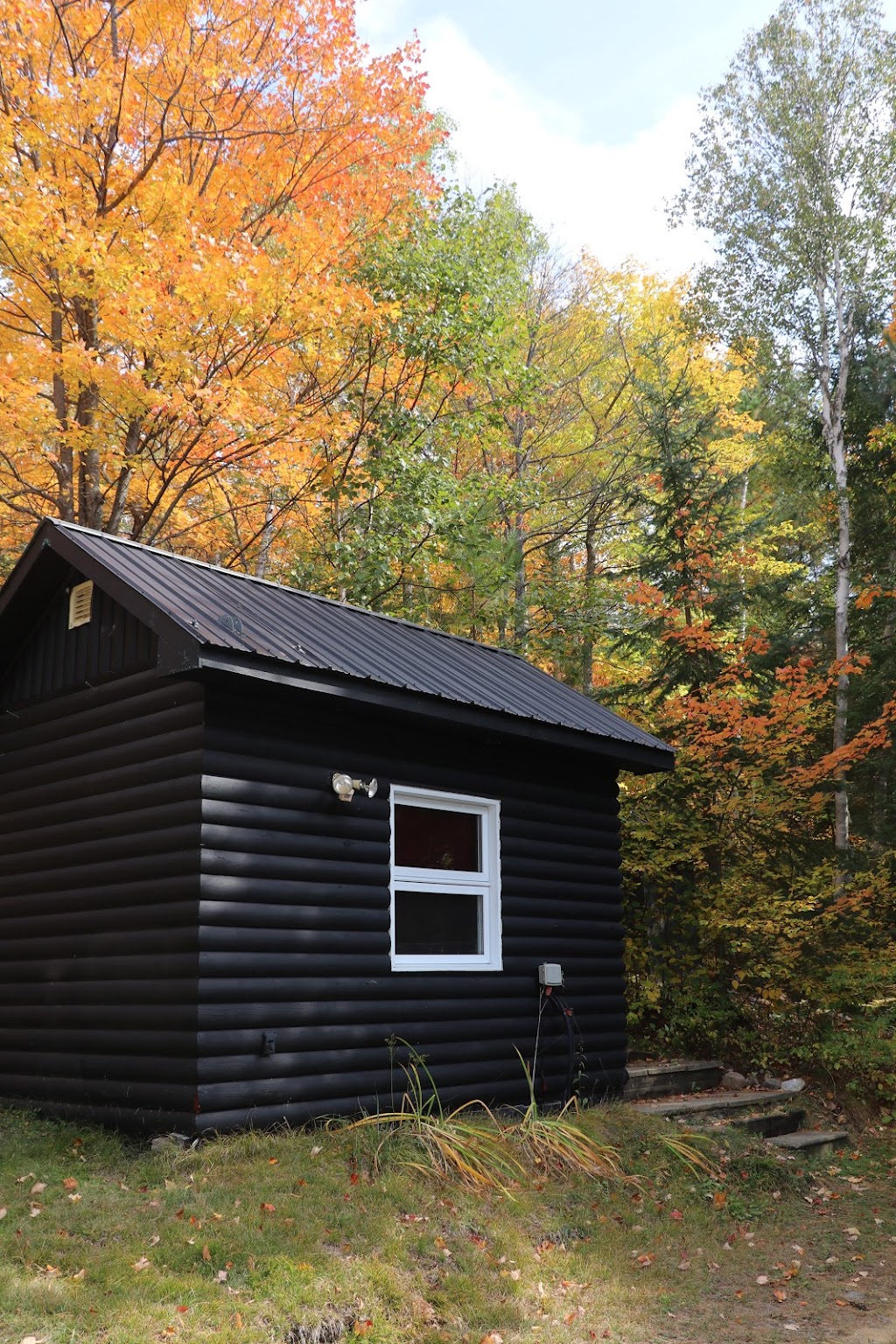 Hay Lake Cabins | 1361 McRae Hay Lake Rd, Whitney, ON K0J 2M0, Canada | Phone: (416) 797-0232