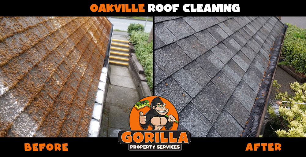 Gorilla Property Services | 519 Dundas St W Unit 5 Suite 412, Oakville, ON L6W 5K3, Canada | Phone: (905) 963-9059