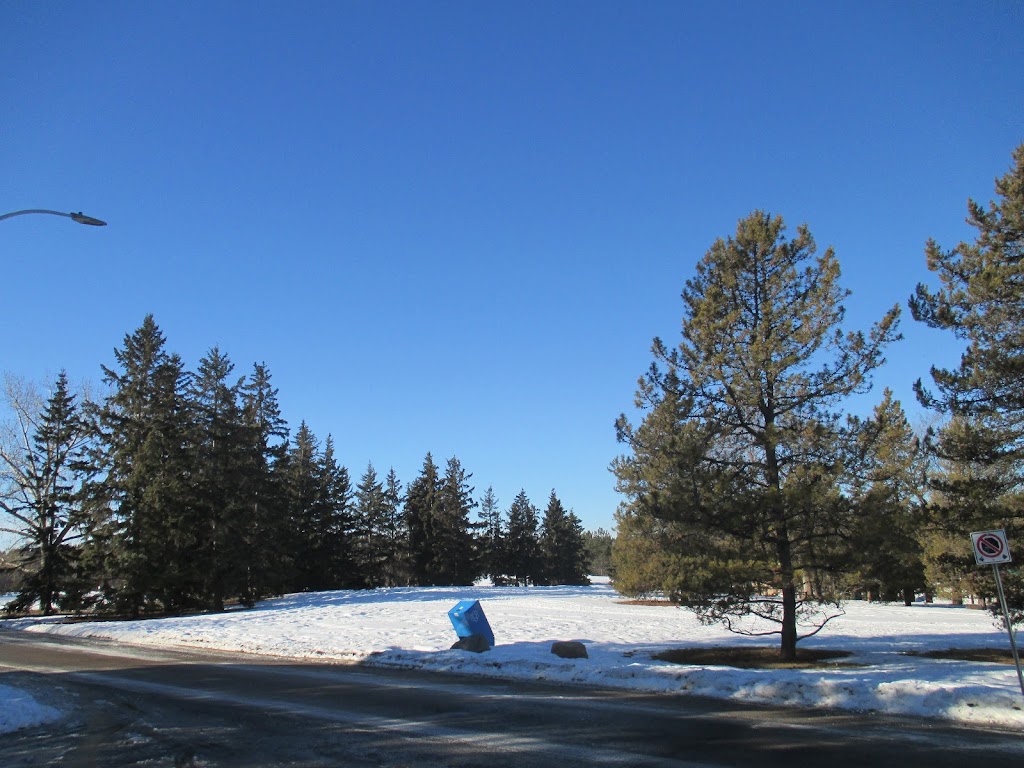 Silver Skate Festival Society | 10212 112 St NW, Edmonton, AB T5K 1M4, Canada | Phone: (780) 488-1960