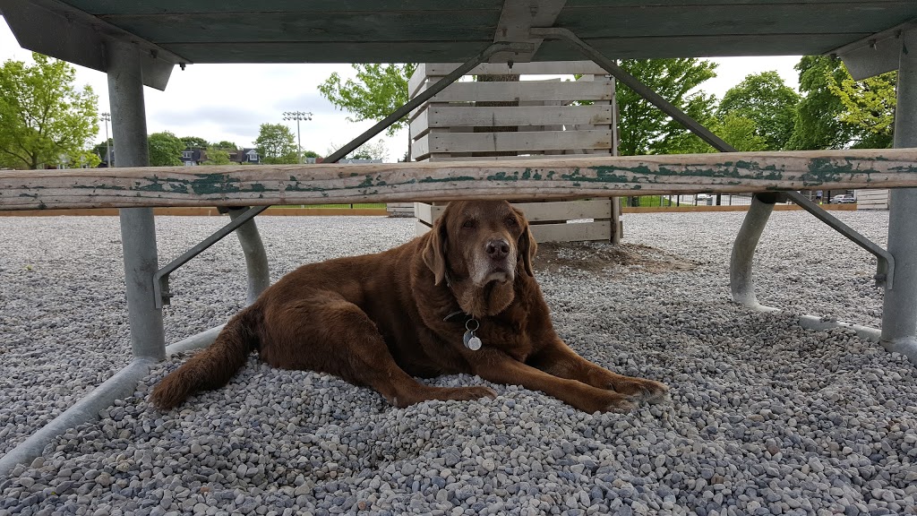 Greenwood Dog Park | Alton Ave, Toronto, ON M4L 2R1, Canada