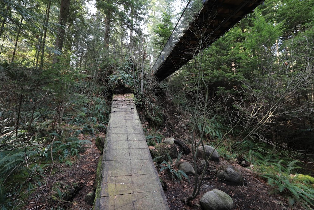 Capilano Suspension Bridge Park – Raptors Ridge | Unnamed Road, West Vancouver, BC V7S 1J5, Canada | Phone: (604) 985-7474