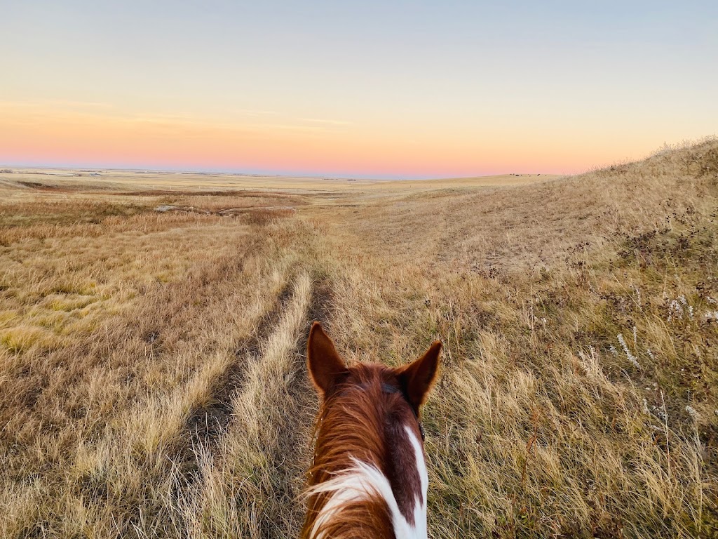 3R Horsemanship | Twp Rd 4-0 175045, Warner, AB T0K 2L0, Canada | Phone: (403) 795-2842