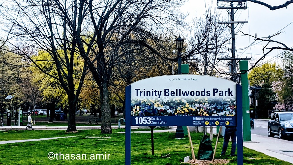 The Trinity Bellwoods BIA | 818 Dundas St W, Toronto, ON M6J 1V3, Canada | Phone: (416) 323-1924