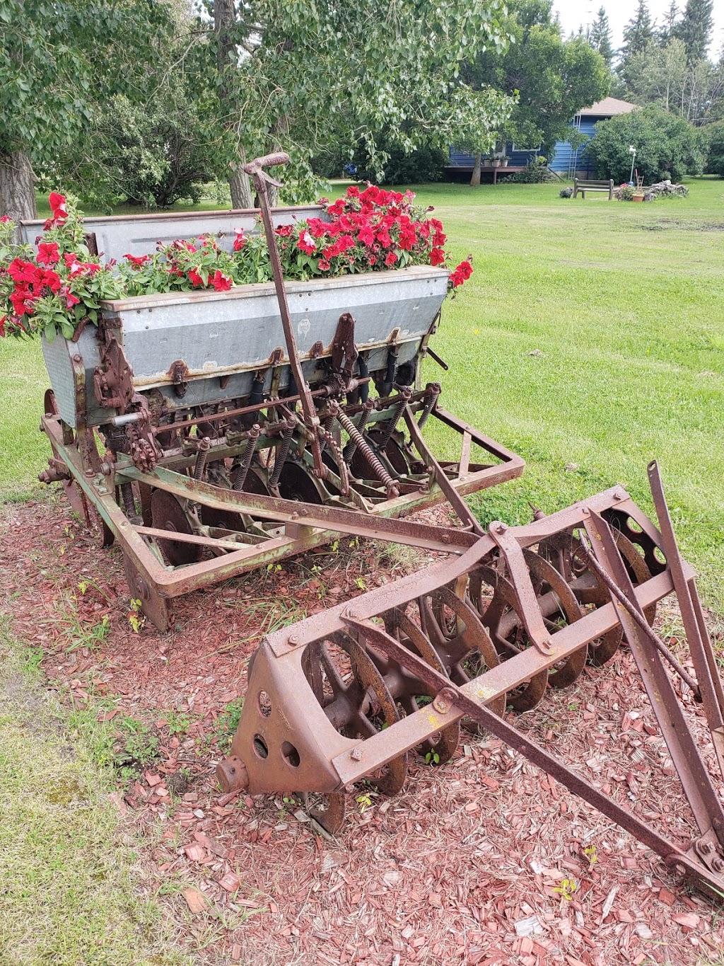 Maplewood Acres Greenhouse | 1 Avenue, Camrose County No. 22, AB T0B 0G0, Canada