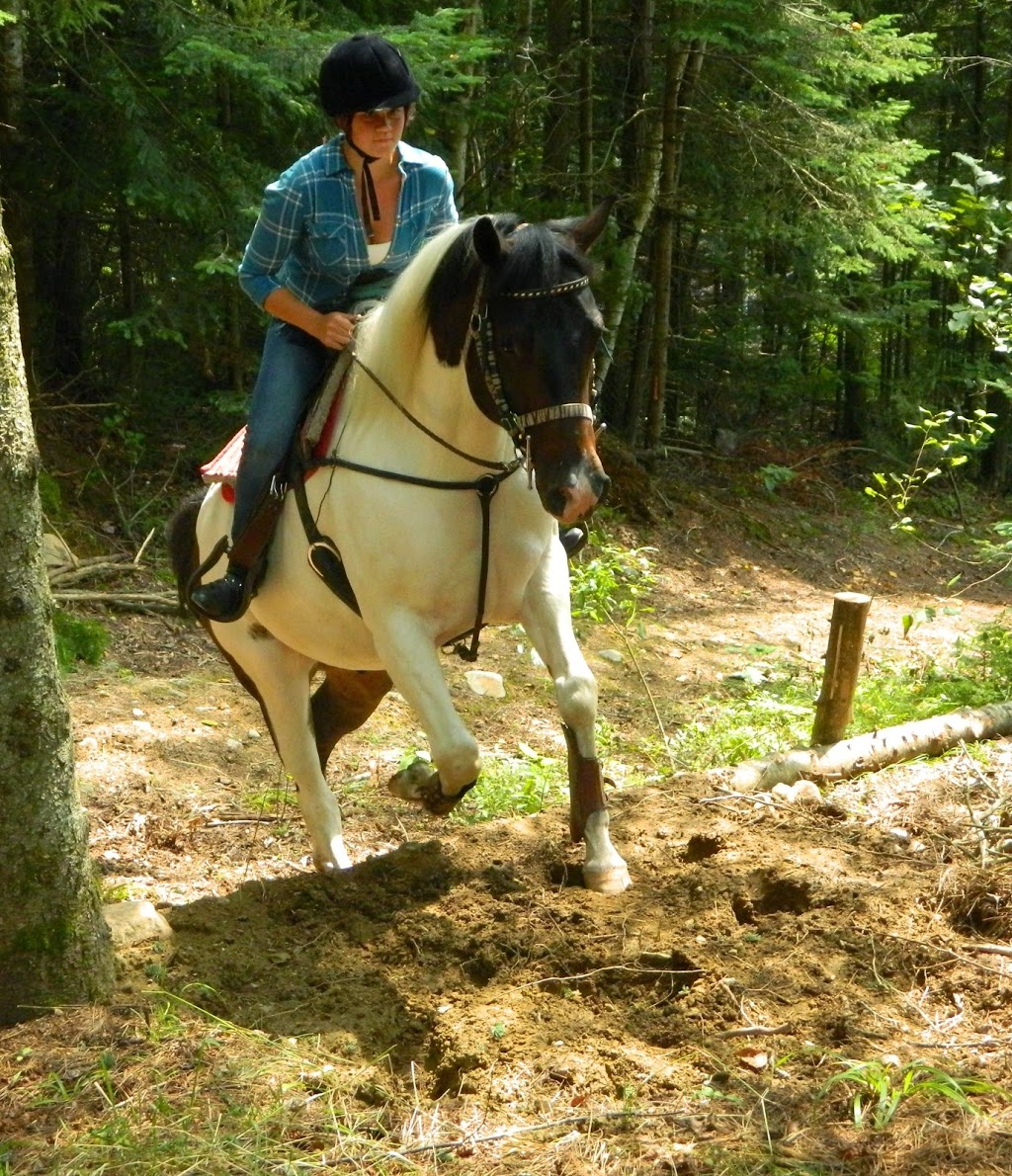 Ranch-O-Bois Rond | 31 45e Avenue Rivière Boule, Saint-Côme, QC J0K 2B0, Canada | Phone: (450) 883-5441