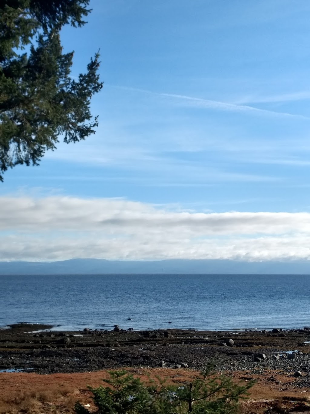 Hidden Beach Community Park | Hornby Island, BC V0R 1Z0, Canada | Phone: (800) 689-9025