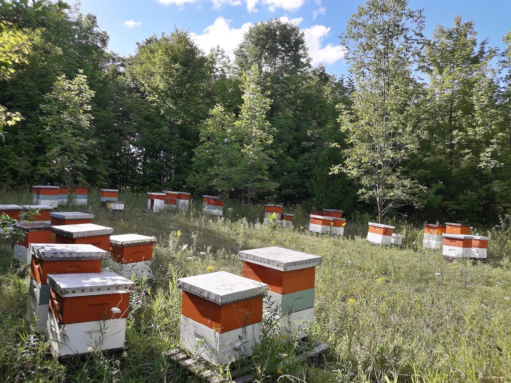 Eccles Apiaries Honey | 492554 Southgate SideRoad 49, Holstein, ON N0G 2A0, Canada | Phone: (519) 731-4235
