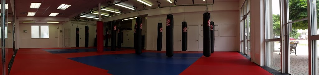 Browns Kickboxing & Jiu Jitsu | 10 Franklin St, Waterdown, ON L0R 2H0, Canada | Phone: (905) 690-8184