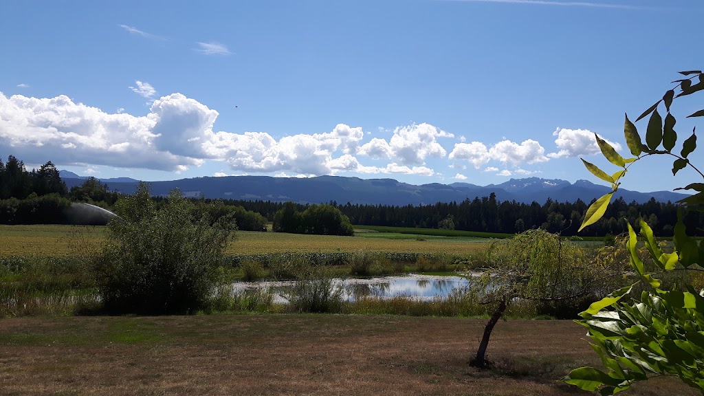 Silver Meadows Farm | 1019 Errington Rd, Parksville, BC V9P 2C8, Canada | Phone: (250) 248-4450