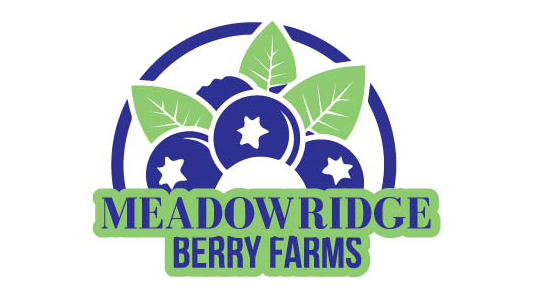 Meadow Ridge Berry Farms | 12138 McTavish Rd, Pitt Meadows, BC V3Y 1Z1, Canada | Phone: (604) 719-3247