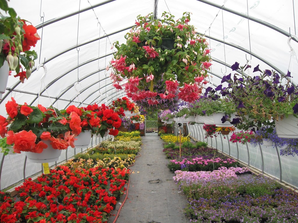 Murrays Garden Centre | 1501 Portugal Cove Rd, Portugal Cove-St. Philips, NL A1M 3P2, Canada | Phone: (709) 895-2800