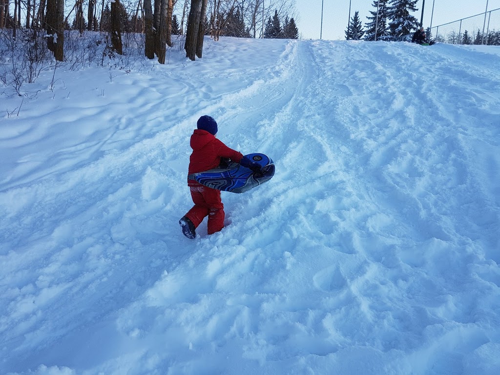 Willoughby Park Rink | 6 Willoughby Dr, St. Albert, AB T8N 3R3, Canada | Phone: (780) 459-1557