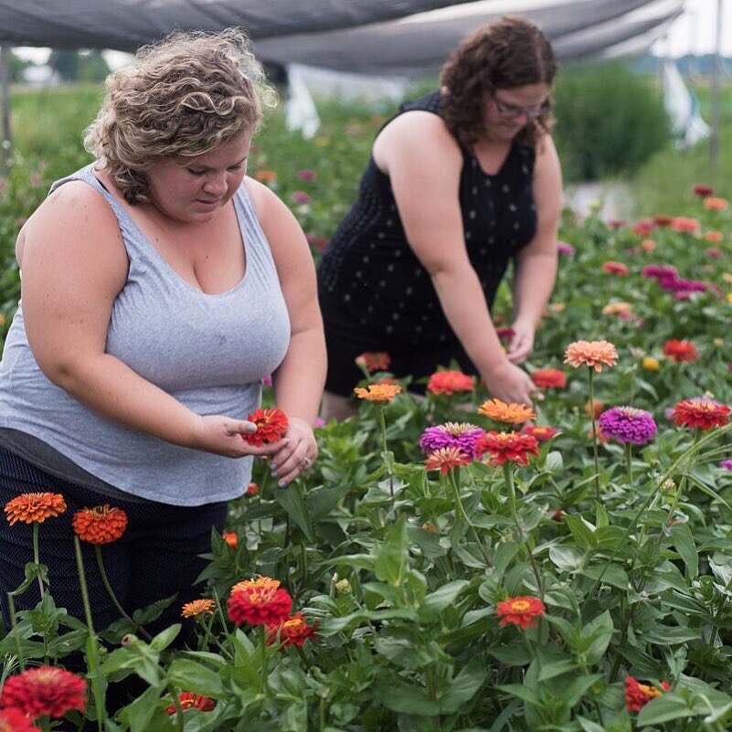 Harris Flower Farm | 42488 Ron McNeil Line, St. Thomas, ON N5P 3T1, Canada | Phone: (519) 668-9537