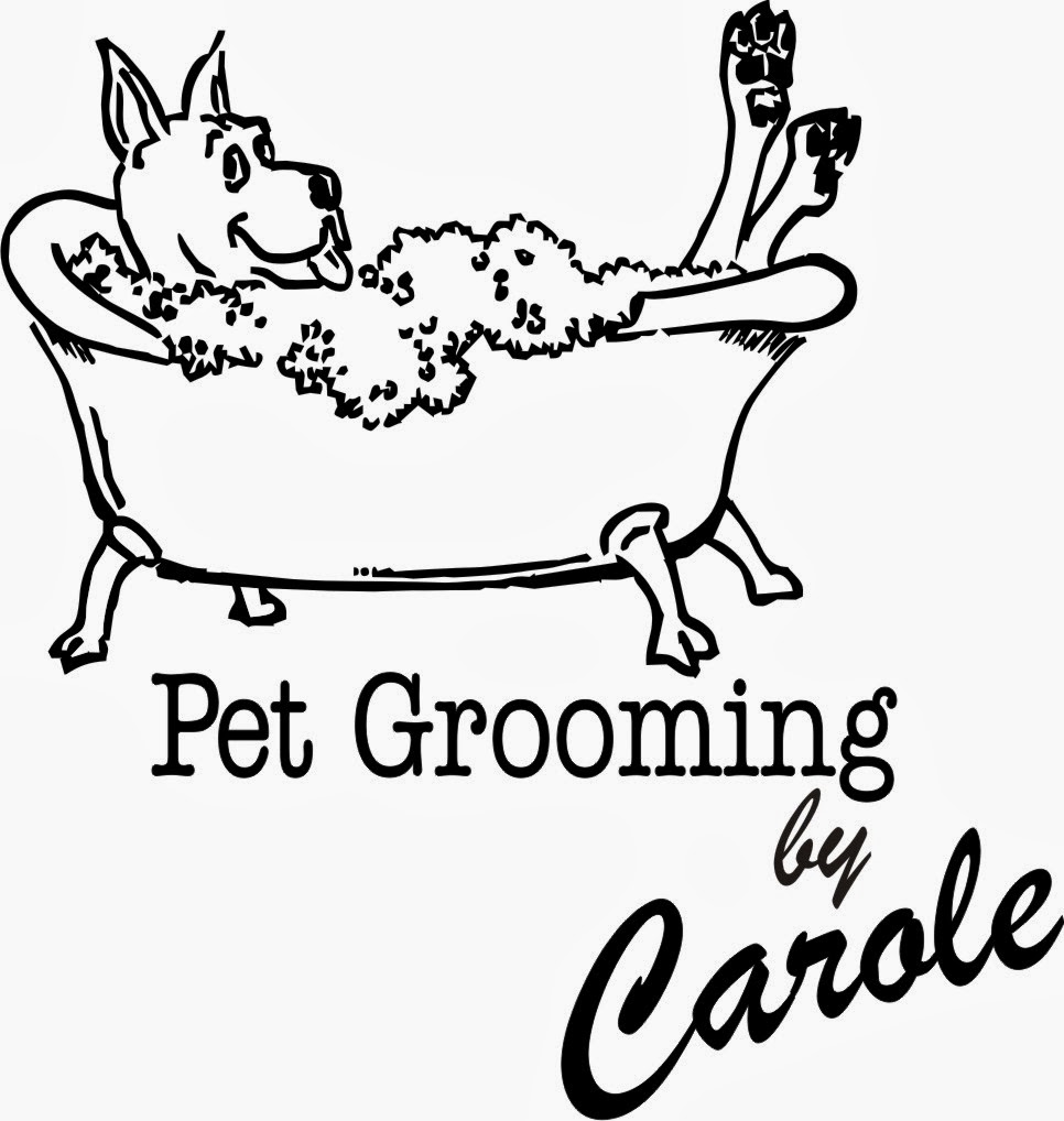 Pet Grooming By Carole | 3181 Sydenham Rd, Elginburg, ON K0H 1M0, Canada | Phone: (613) 532-7335