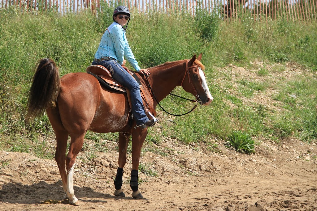 Grand Valley Agricultural Society | 60 Main St N, Grand Valley, ON L9W 5S7, Canada | Phone: (226) 979-3724