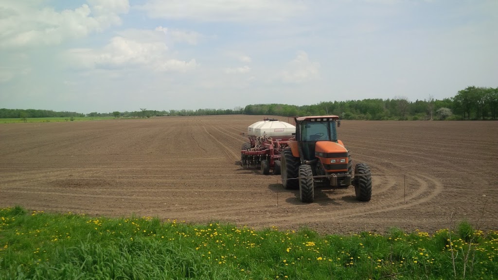 Huber Farms Heritage Meats | 9601 Concession Rd 2, Kenilworth, ON N0G 2E0, Canada | Phone: (519) 604-5599