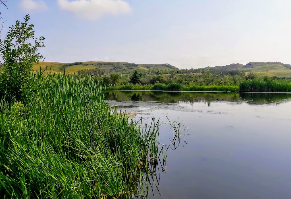 Big Knife Provincial Park | AB-855, Forestburg, AB T0B 1N0, Canada | Phone: (403) 742-7516