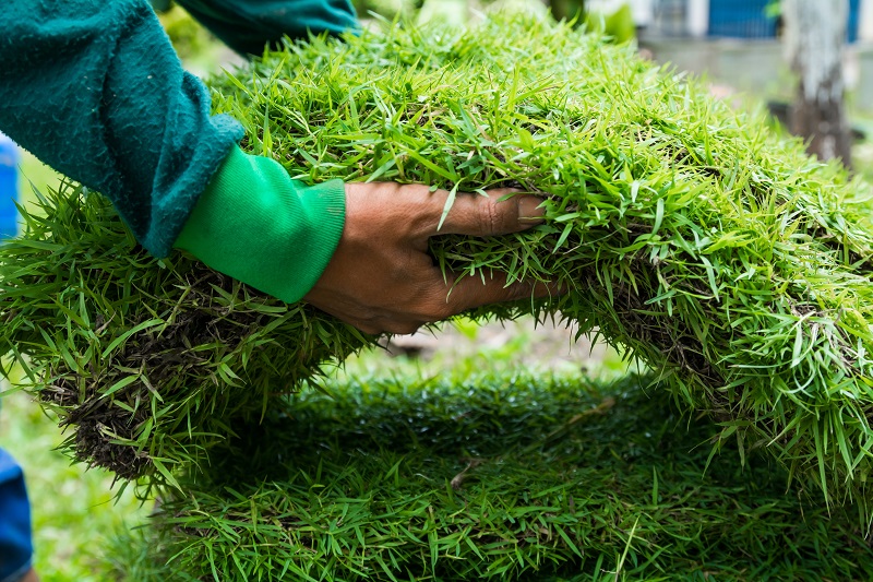 Green Cuts Pool and Lawn Care | 47 Ruijs Blvd, Brantford, ON N3T 0E2, Canada | Phone: (226) 583-0510