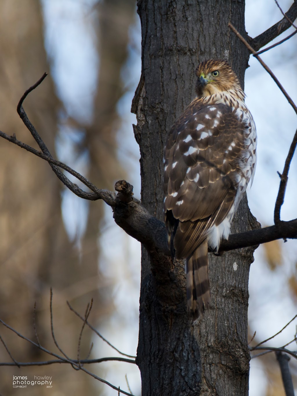 Britannia Conservation Area | Ottawa River Pathway, Ottawa, ON K2B 5X1, Canada