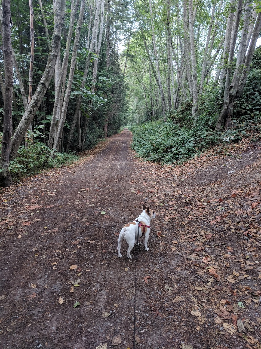 Entrance to the Delta Nature Reserve | Delta, BC V4C, Canada