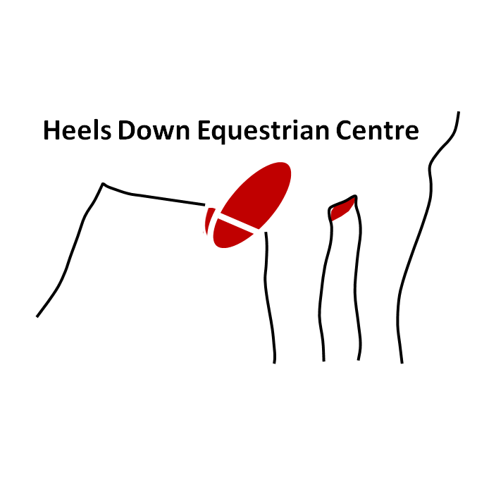 Heels Down Equestrian Centre | 233 Century Farm Rd, Janetville, ON L0B 1K0, Canada | Phone: (905) 854-5771