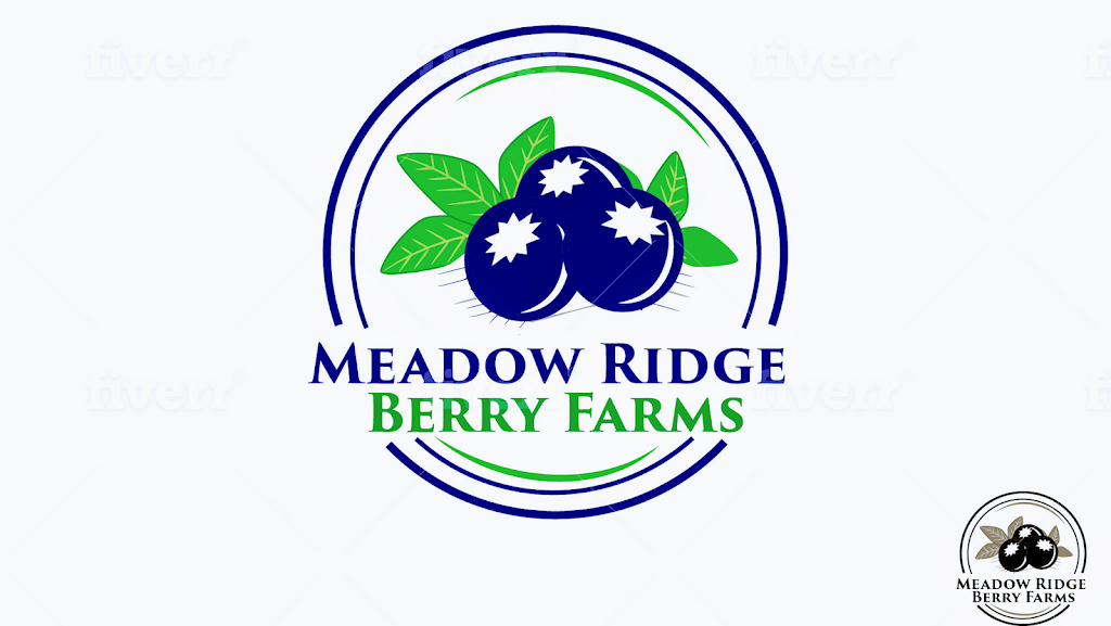 Meadow Ridge Berry Farms | 12138 McTavish Rd, Pitt Meadows, BC V3Y 1Z1, Canada | Phone: (604) 719-3247