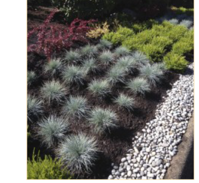 ADL Landscaping Ltd. | PO 16157, North Vancouver, BC V7J 3S9, Canada | Phone: (604) 558-1235