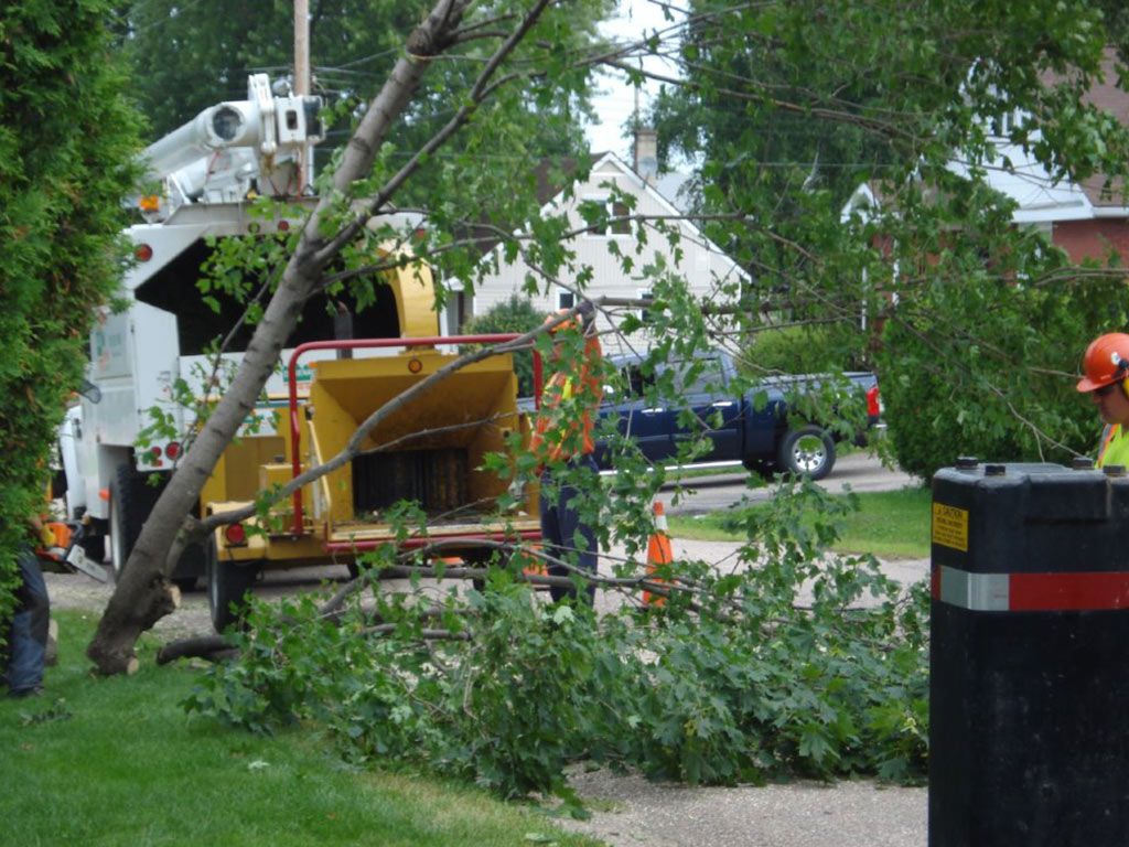 Tree Service Coquitlam Inc. | 1145 Inlet St, Coquitlam, BC V3B 6E8, Canada | Phone: (778) 488-9410