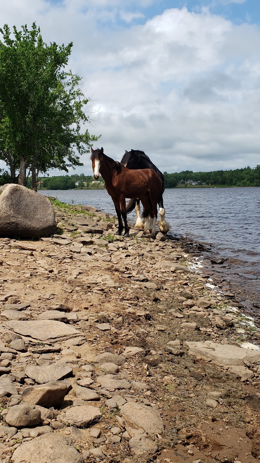 Vis Place | Johnston Parish, NB E4C 1C5, Canada | Phone: (506) 434-3639