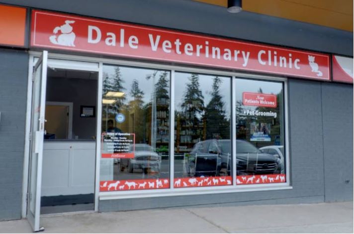 Dale Veterinary Clinic | 121 Toronto Rd #131, Port Hope, ON L1A 3S6, Canada | Phone: (905) 885-9577