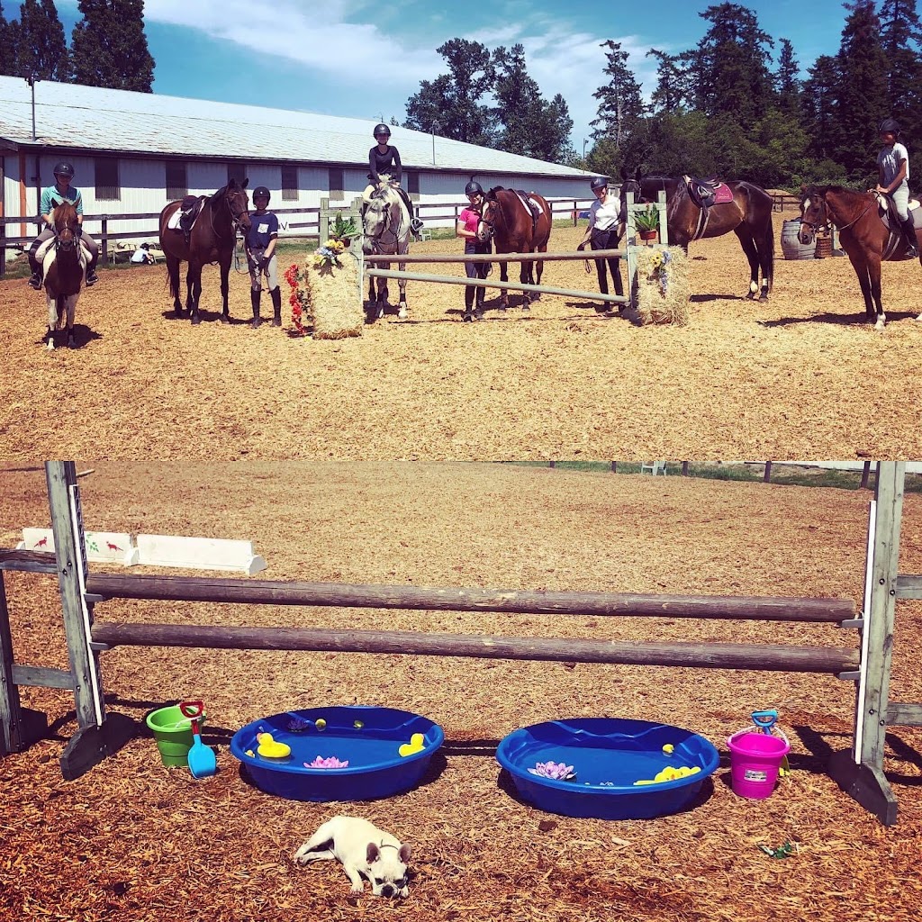 Silverstone Equestrian | 5999 Hunt Rd, Victoria, BC V8Y 3H7, Canada | Phone: (250) 880-4024