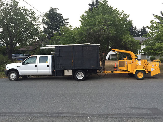 Vertical Tree Care | 632 Jadel Dr, Victoria, BC V9C 2L2, Canada | Phone: (250) 888-8790