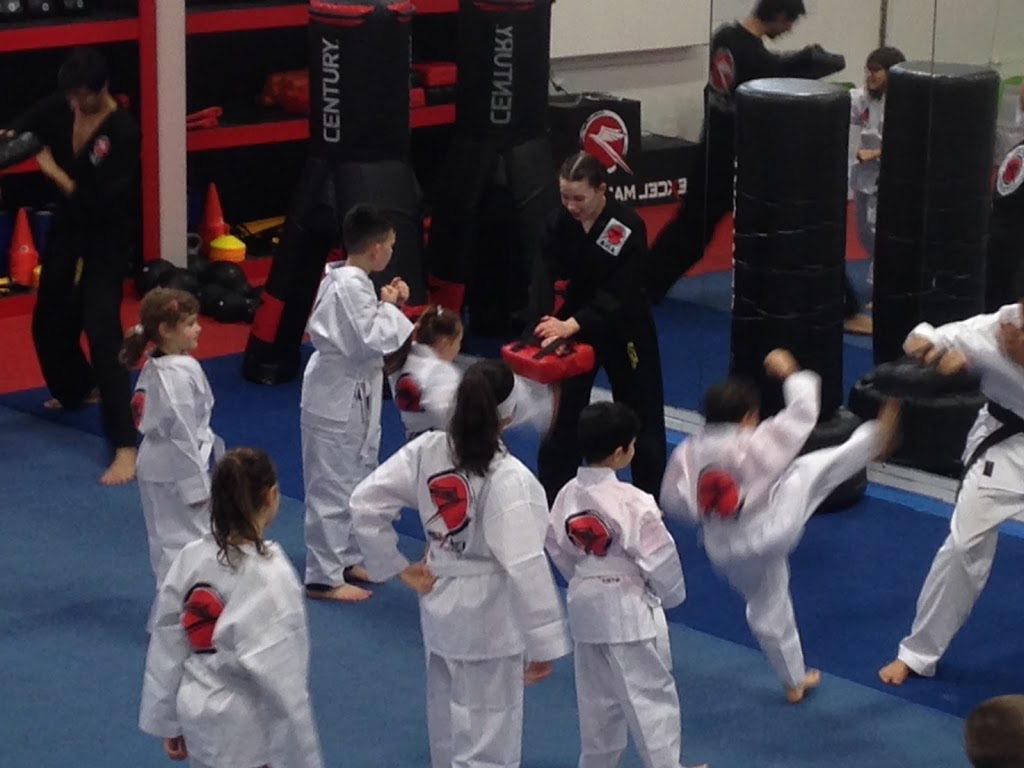 Excel Martial Arts | 6995 Bridge St, Mission, BC V2V 2X5, Canada | Phone: (604) 820-3011