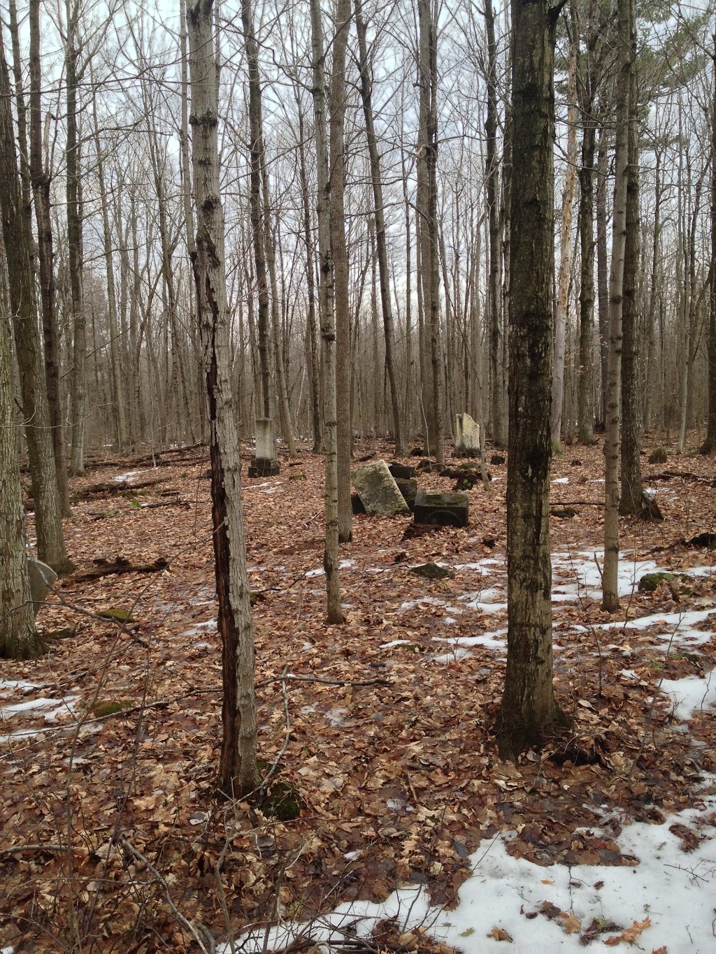 Cimetière St. Pauls Anglican | Chemin Napper, Hemmingford, QC J0L 1H0, Canada