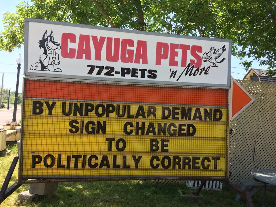 Cayuga Petsn More | 8 Ouse St N, Cayuga, ON N0A 1E0, Canada | Phone: (905) 772-7387