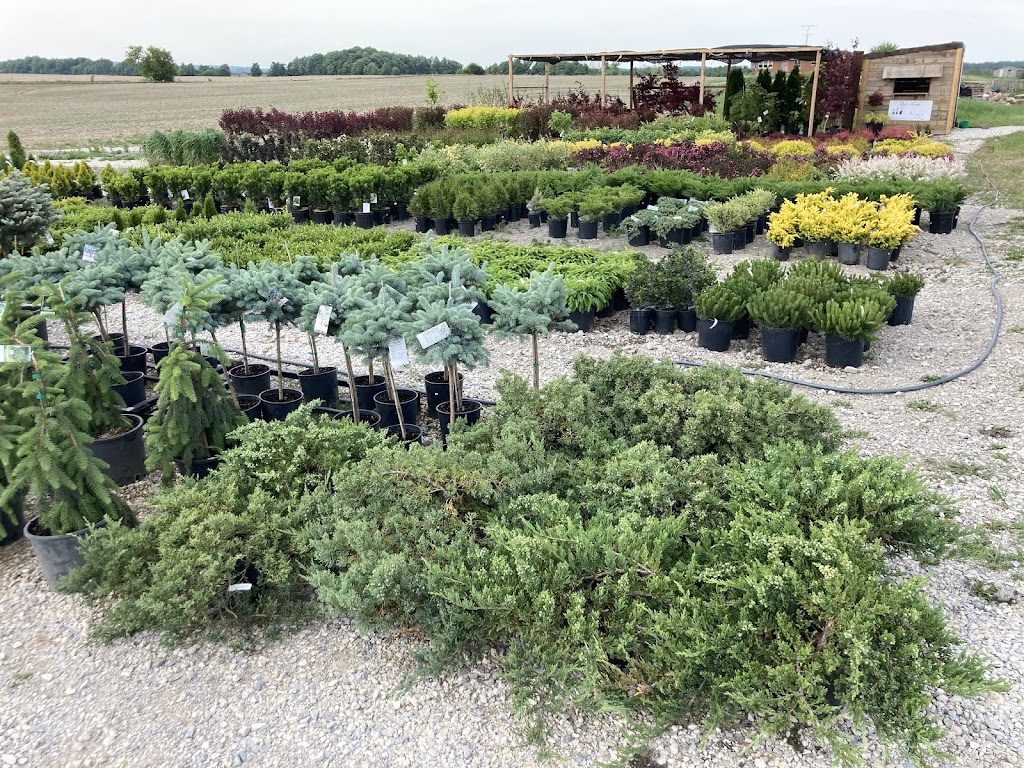 Daves Garden | 14337 Peel Regional Rd 50, Bolton, ON L7E 3H6, Canada | Phone: (902) 402-8848