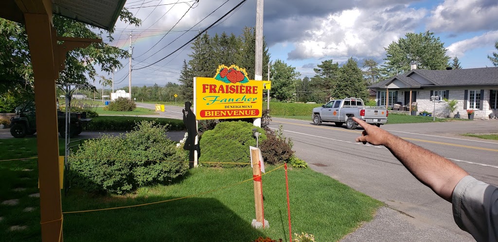 Fraisière Faucher | 516 Route Grand Capsa, Pont-Rouge, QC G3H 1L2, Canada | Phone: (418) 873-2354