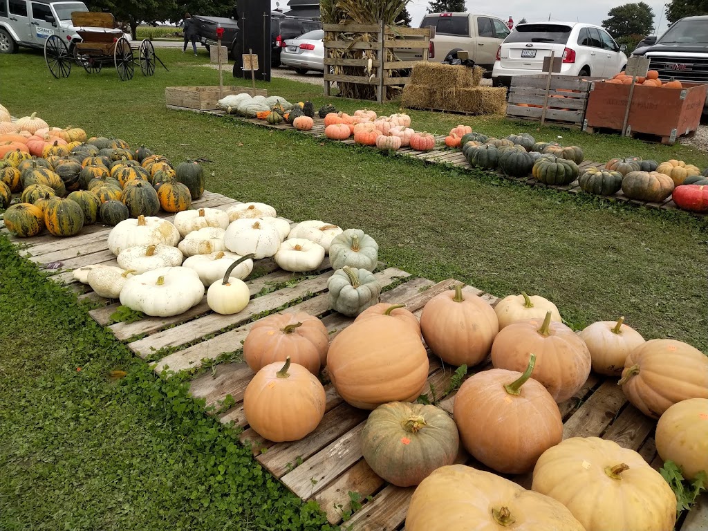 Allsop Farm Pumpkins & More | 195 Road 3 E, Kingsville, ON N9Y 2E5, Canada | Phone: (519) 733-2896