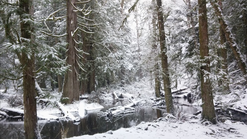 Juan De Fuca Salmon Restoration Society | 2895 Sooke River Rd, Sooke, BC V9Z 0Y1, Canada | Phone: (250) 642-4200