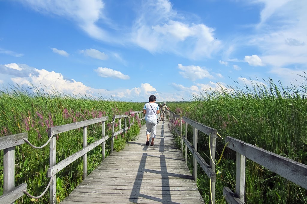 Sentier écologique de la Grande Baie | Unnamed Road, Oka, QC J0N 1E0, Canada