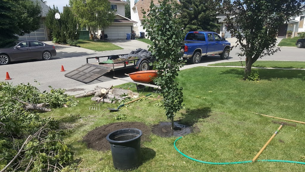 Positive Pruning & Maintenance | Strathford Pl, Strathmore, AB T1P 1S4, Canada | Phone: (403) 608-4762