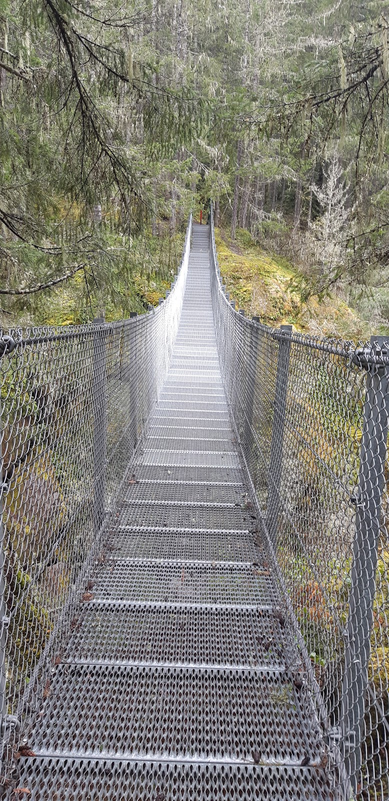 Haslam Creek Suspension Bridge | Trans Canada Trail, Lake Cowichan, BC V0R 2G0, Canada