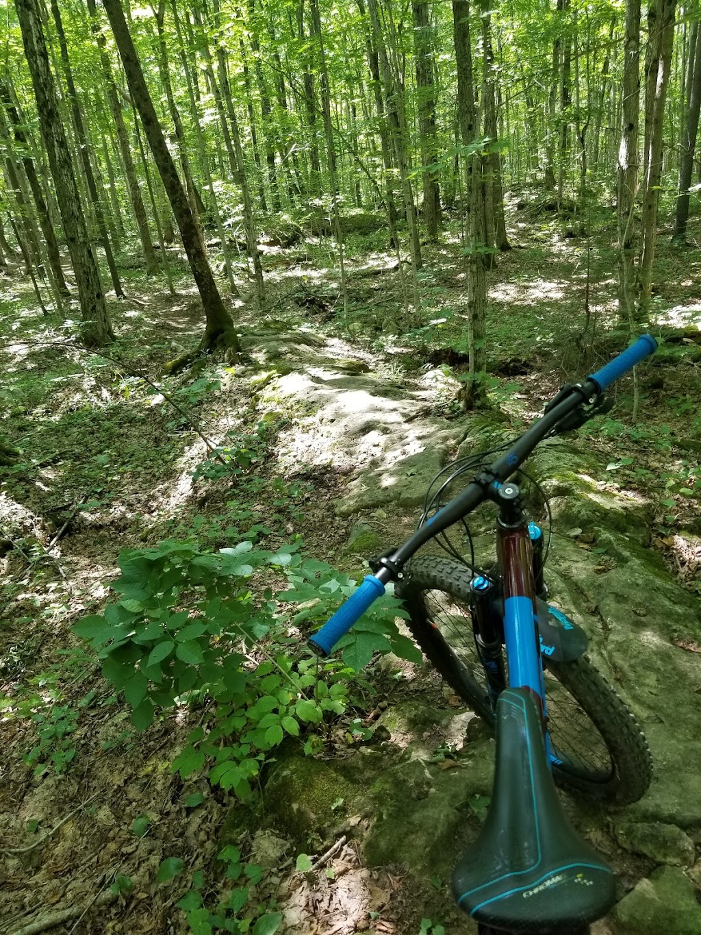 Bruce Peninsula Mountain Bike Adventure Park | 661 Bruce County Rd 9, Wiarton, ON N0H 2T0, Canada | Phone: (800) 268-3838