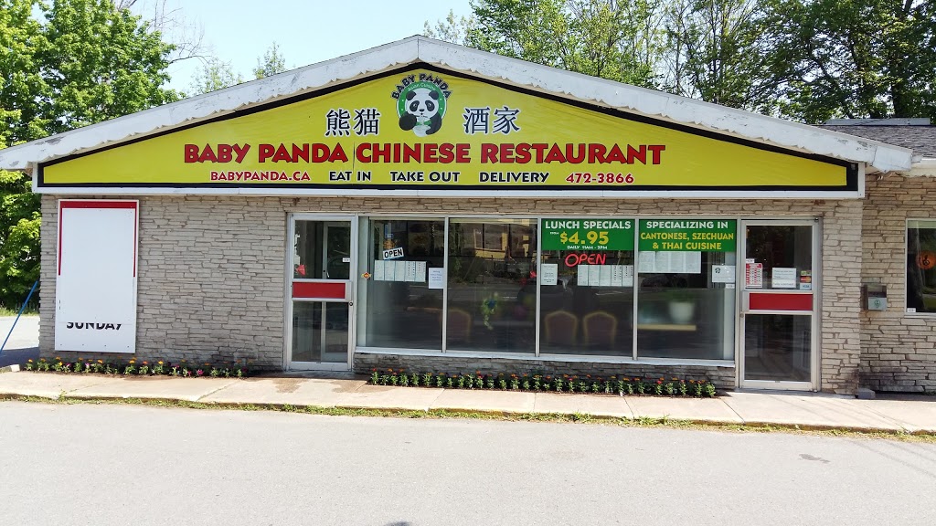 Baby Panda | 467 King St, Windsor, NS B0N 2T0, Canada | Phone: (902) 472-3866