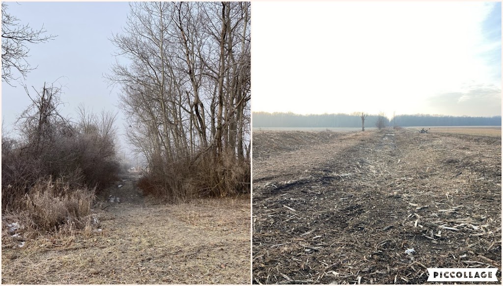 Handy Bulldozing & Brush Control | 29559 Highway 28 Soth, Bancroft, ON K0L 1C0, Canada | Phone: (613) 334-8726