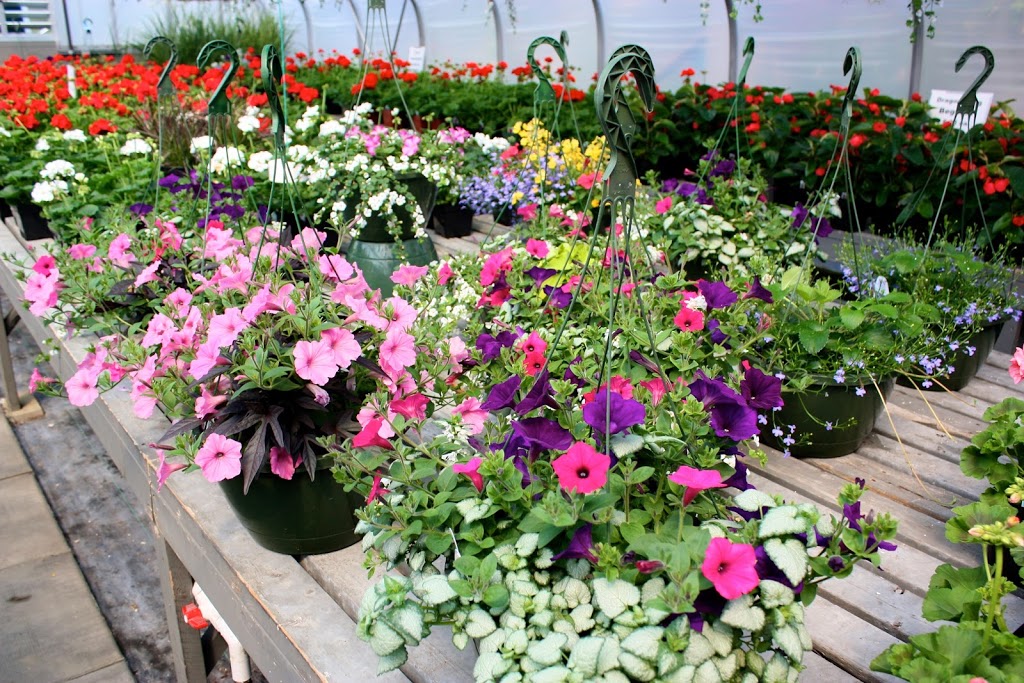 Estate Gardens Greenhouse | 52333 Range Rd 224, Sherwood Park, AB T8C 1B9, Canada | Phone: (780) 922-6329