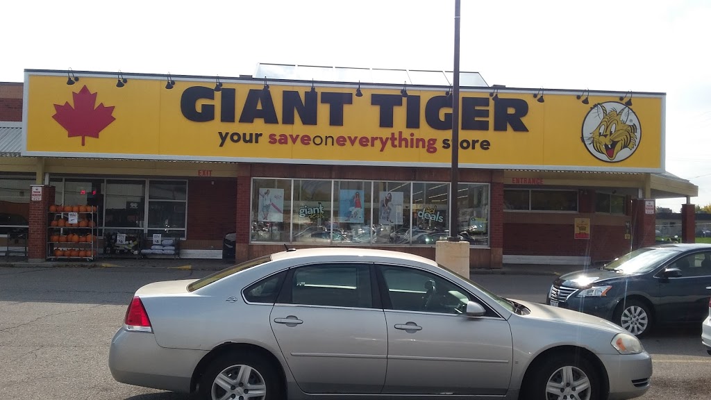 Giant Tiger | 930 Dundas St, Woodstock, ON N4S 8X6, Canada | Phone: (519) 539-8701